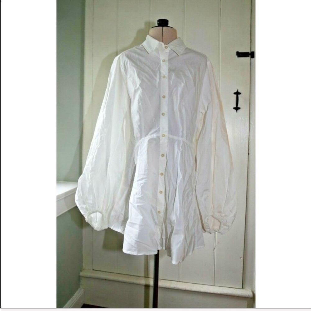 Free People NWT Whimsigoth Light Academia Steampunk Victorian white button down
